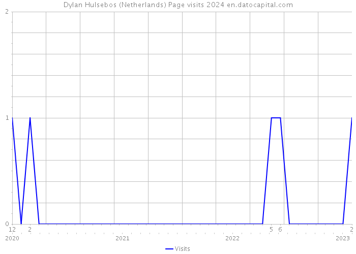 Dylan Hulsebos (Netherlands) Page visits 2024 