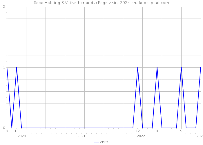 Sapa Holding B.V. (Netherlands) Page visits 2024 