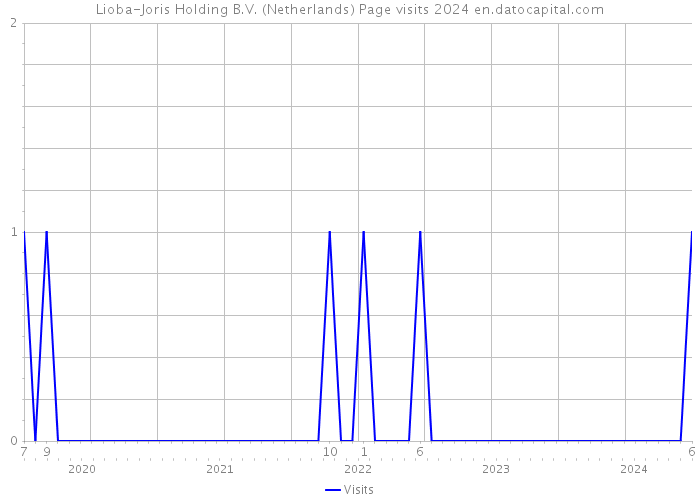 Lioba-Joris Holding B.V. (Netherlands) Page visits 2024 