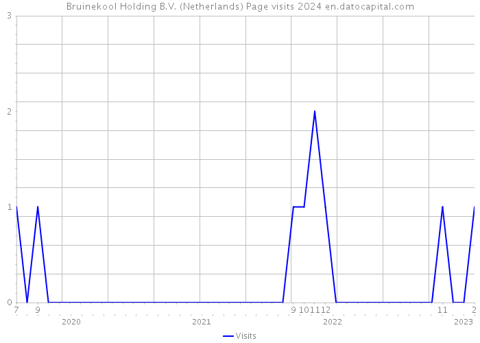 Bruinekool Holding B.V. (Netherlands) Page visits 2024 