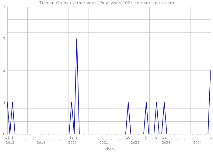 Tiemen Ottink (Netherlands) Page visits 2024 