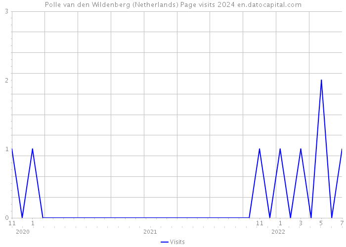 Polle van den Wildenberg (Netherlands) Page visits 2024 