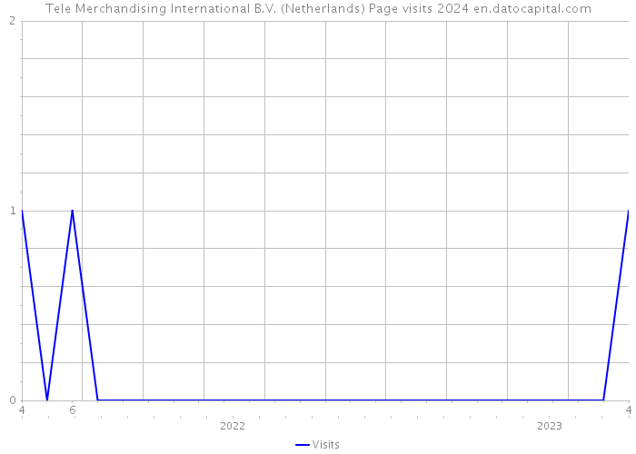 Tele Merchandising International B.V. (Netherlands) Page visits 2024 