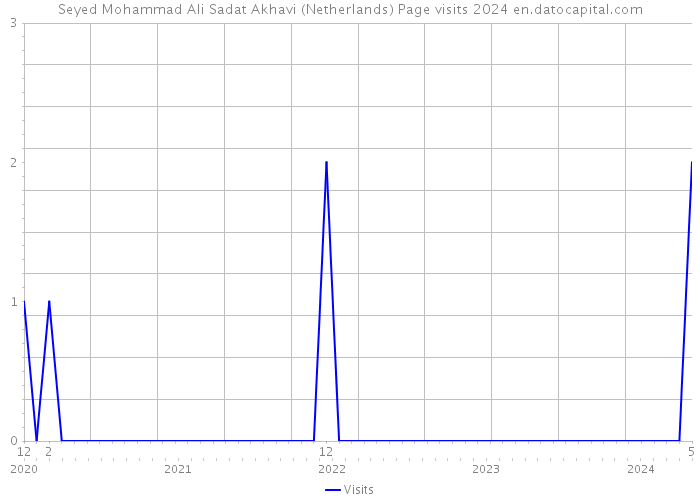 Seyed Mohammad Ali Sadat Akhavi (Netherlands) Page visits 2024 