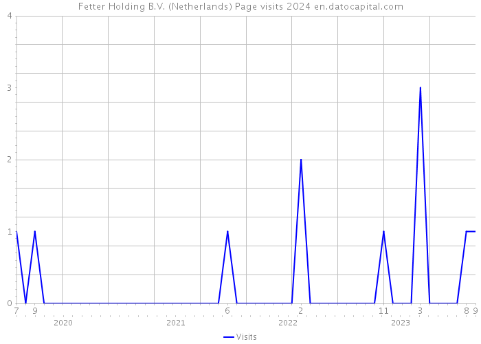 Fetter Holding B.V. (Netherlands) Page visits 2024 