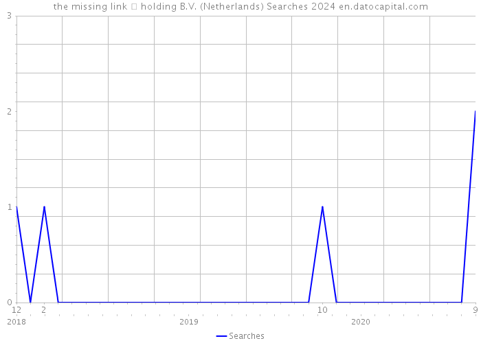 the missing link  holding B.V. (Netherlands) Searches 2024 