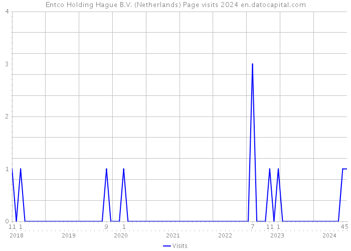 Entco Holding Hague B.V. (Netherlands) Page visits 2024 