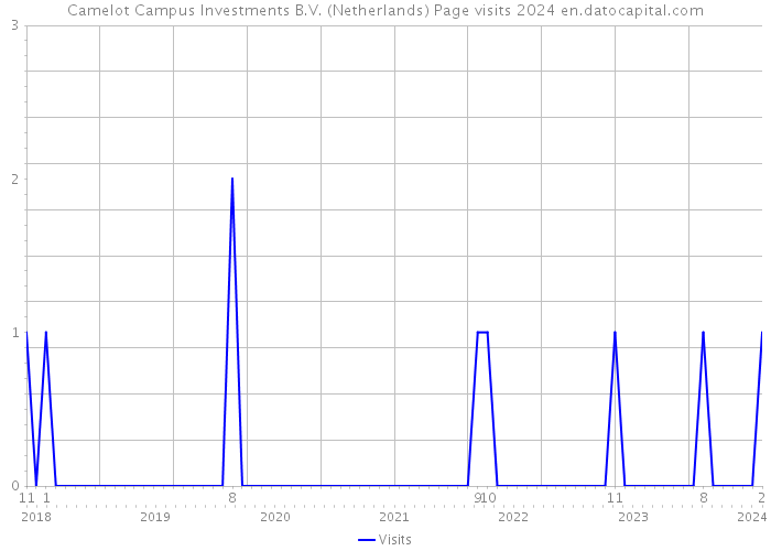 Camelot Campus Investments B.V. (Netherlands) Page visits 2024 