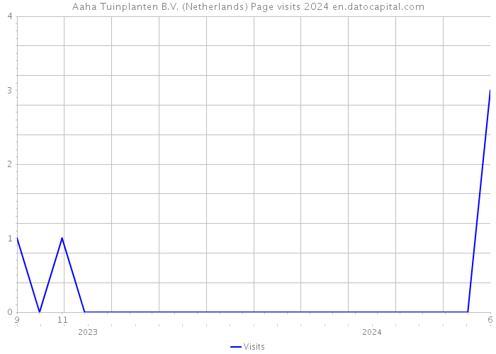 Aaha Tuinplanten B.V. (Netherlands) Page visits 2024 