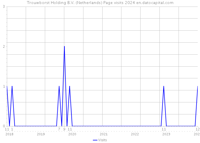 Trouwborst Holding B.V. (Netherlands) Page visits 2024 