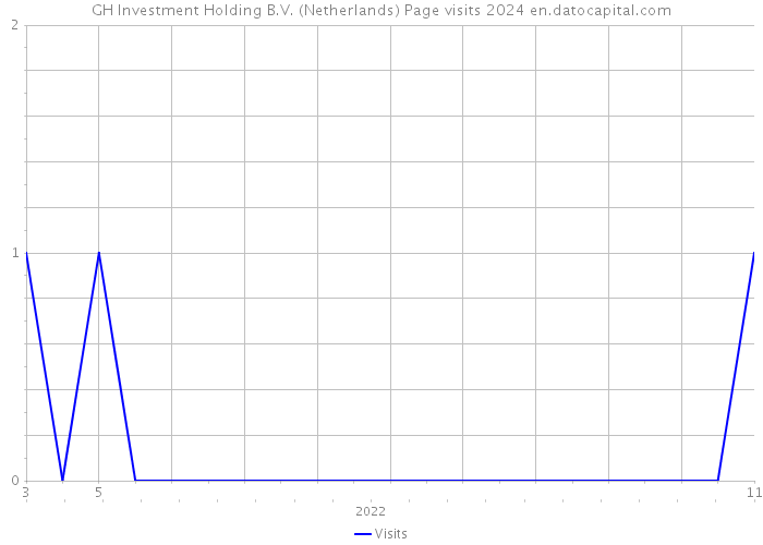 GH Investment Holding B.V. (Netherlands) Page visits 2024 