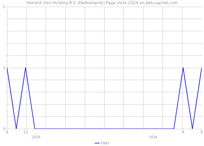 Hendrik Hzn Holding B.V. (Netherlands) Page visits 2024 