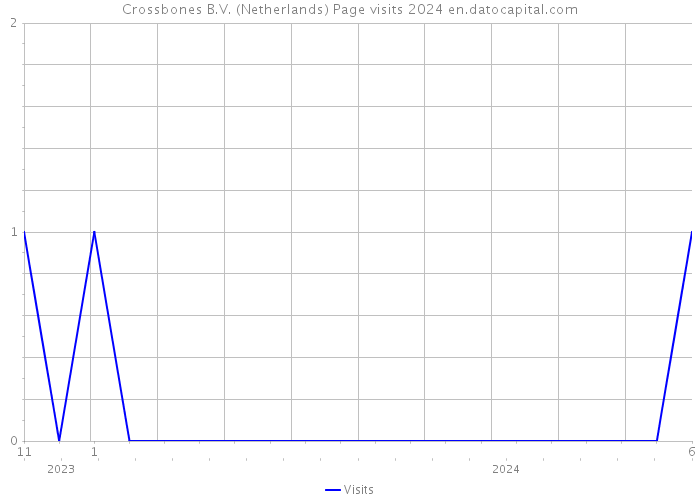 Crossbones B.V. (Netherlands) Page visits 2024 