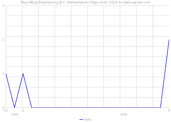 Blue Wing Engineering B.V. (Netherlands) Page visits 2024 