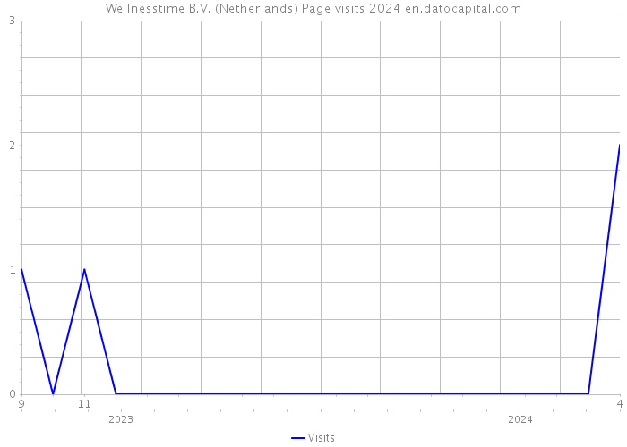 Wellnesstime B.V. (Netherlands) Page visits 2024 