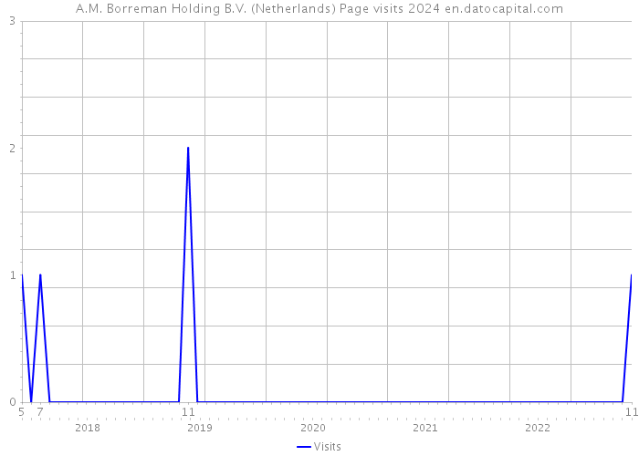 A.M. Borreman Holding B.V. (Netherlands) Page visits 2024 