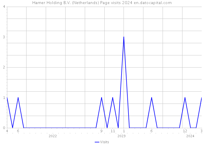 Hamer Holding B.V. (Netherlands) Page visits 2024 