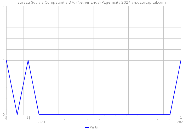 Bureau Sociale Competentie B.V. (Netherlands) Page visits 2024 