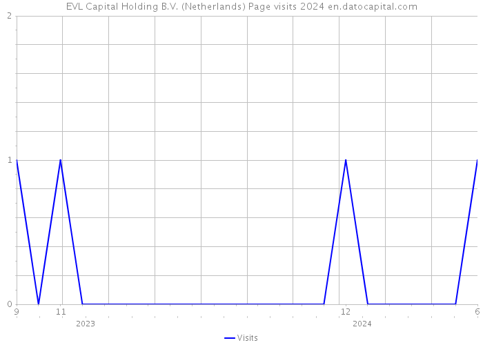 EVL Capital Holding B.V. (Netherlands) Page visits 2024 