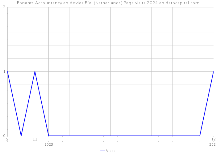 Bonants Accountancy en Advies B.V. (Netherlands) Page visits 2024 