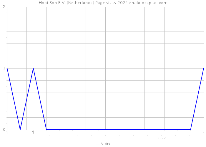 Hopi Bon B.V. (Netherlands) Page visits 2024 
