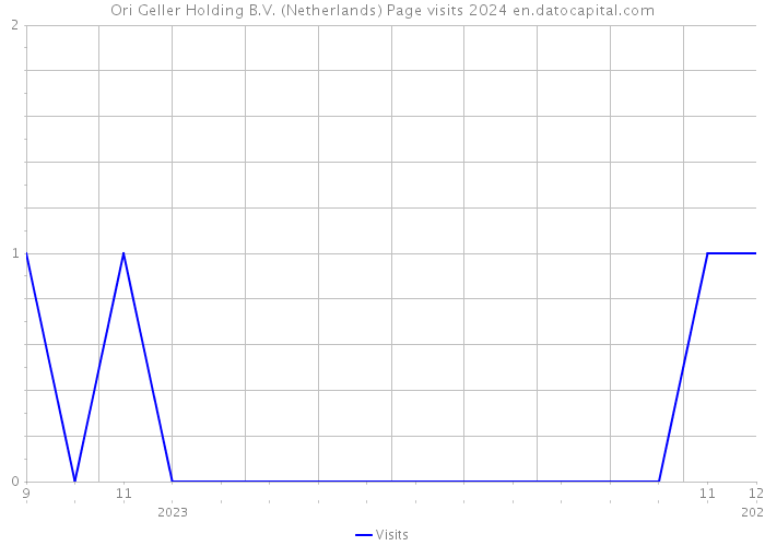 Ori Geller Holding B.V. (Netherlands) Page visits 2024 