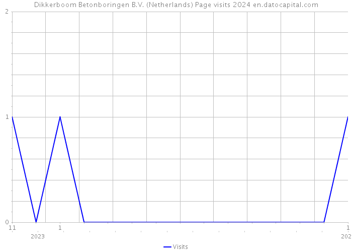 Dikkerboom Betonboringen B.V. (Netherlands) Page visits 2024 