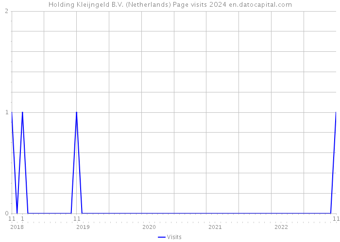 Holding Kleijngeld B.V. (Netherlands) Page visits 2024 