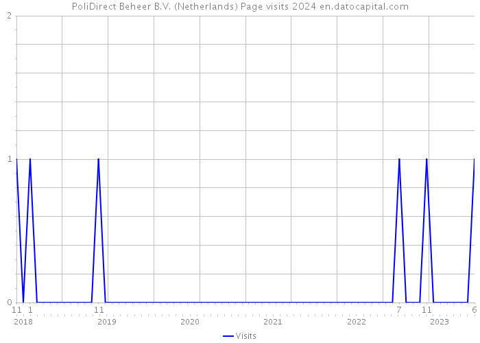 PoliDirect Beheer B.V. (Netherlands) Page visits 2024 
