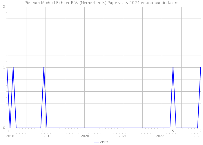 Piet van Michiel Beheer B.V. (Netherlands) Page visits 2024 