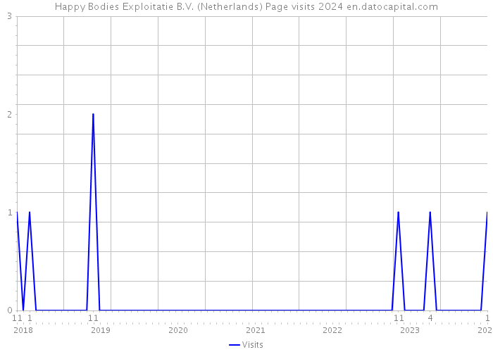 Happy Bodies Exploitatie B.V. (Netherlands) Page visits 2024 