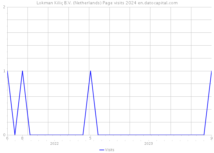 Lokman Kiliç B.V. (Netherlands) Page visits 2024 