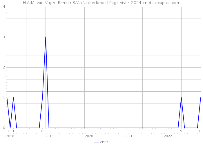 H.A.M. van Vught Beheer B.V. (Netherlands) Page visits 2024 