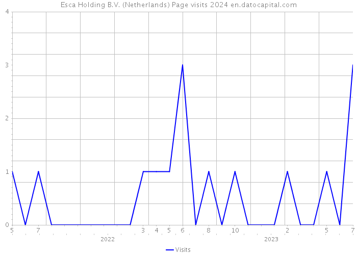 Esca Holding B.V. (Netherlands) Page visits 2024 