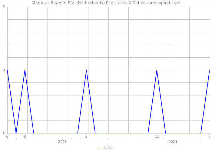 Monique Baggen B.V. (Netherlands) Page visits 2024 