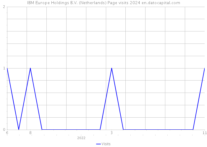 IBM Europe Holdings B.V. (Netherlands) Page visits 2024 