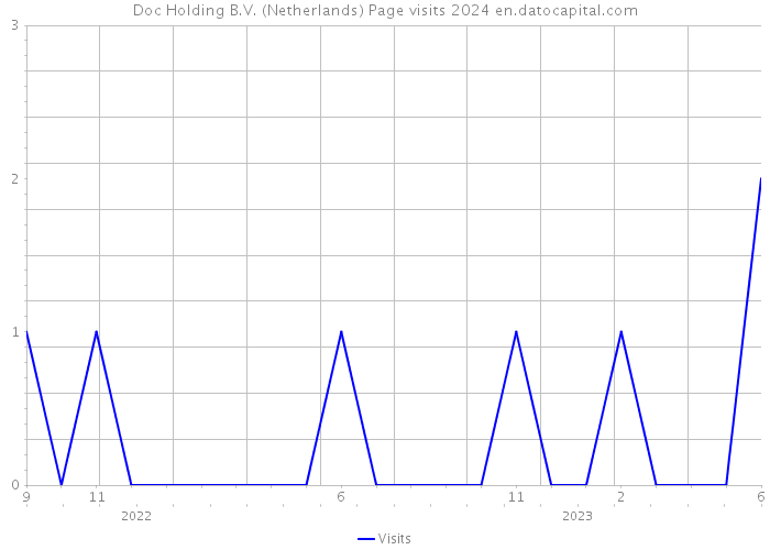 Doc Holding B.V. (Netherlands) Page visits 2024 