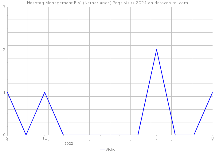 Hashtag Management B.V. (Netherlands) Page visits 2024 