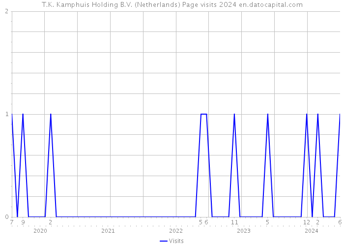 T.K. Kamphuis Holding B.V. (Netherlands) Page visits 2024 