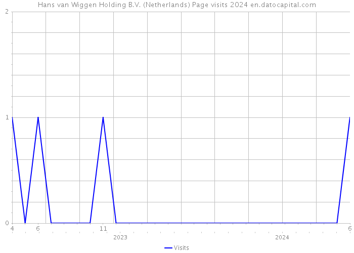 Hans van Wiggen Holding B.V. (Netherlands) Page visits 2024 