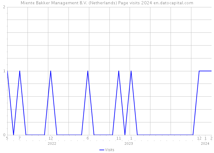 Miente Bakker Management B.V. (Netherlands) Page visits 2024 