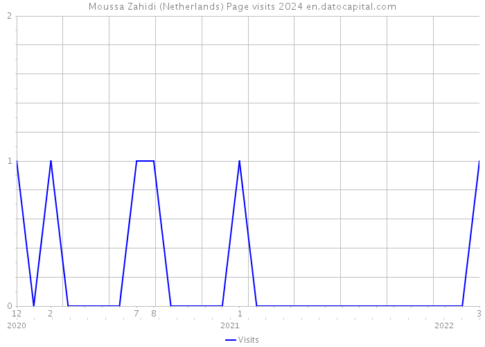 Moussa Zahidi (Netherlands) Page visits 2024 