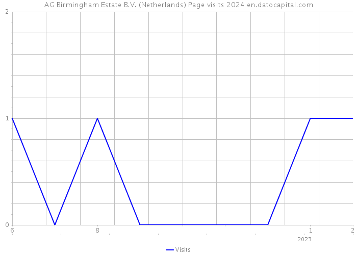 AG Birmingham Estate B.V. (Netherlands) Page visits 2024 