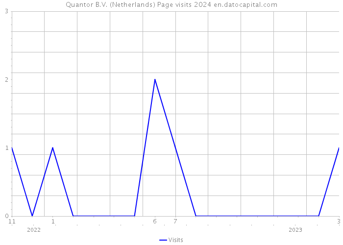 Quantor B.V. (Netherlands) Page visits 2024 