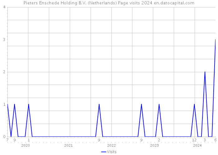 Pieters Enschede Holding B.V. (Netherlands) Page visits 2024 