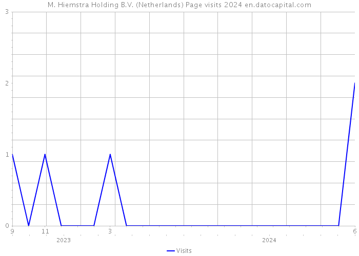 M. Hiemstra Holding B.V. (Netherlands) Page visits 2024 