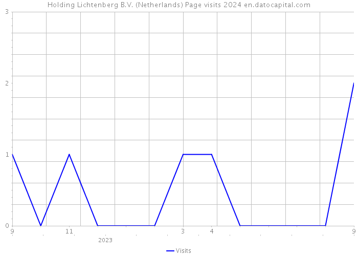 Holding Lichtenberg B.V. (Netherlands) Page visits 2024 