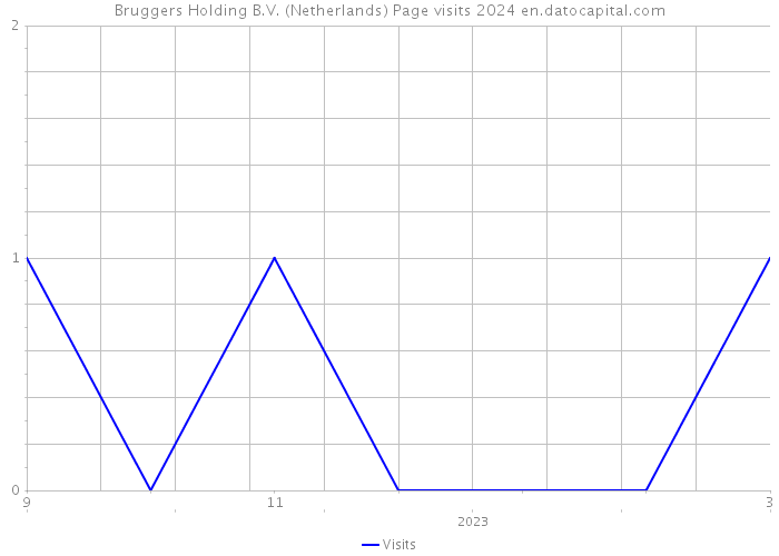 Bruggers Holding B.V. (Netherlands) Page visits 2024 