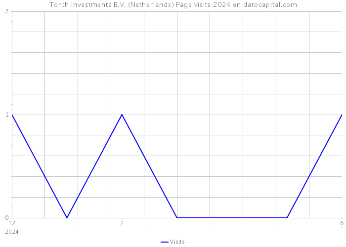 Torch Investments B.V. (Netherlands) Page visits 2024 