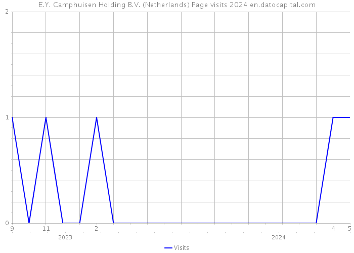 E.Y. Camphuisen Holding B.V. (Netherlands) Page visits 2024 